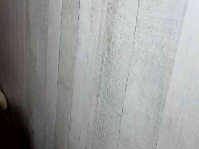 Rainie webcam
