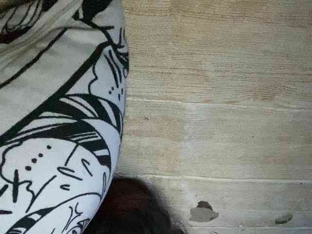 Rainie