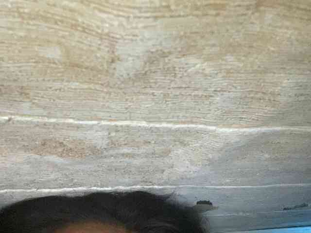Rainie webcam
