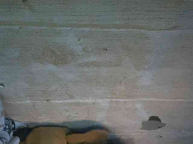Rainie webcam