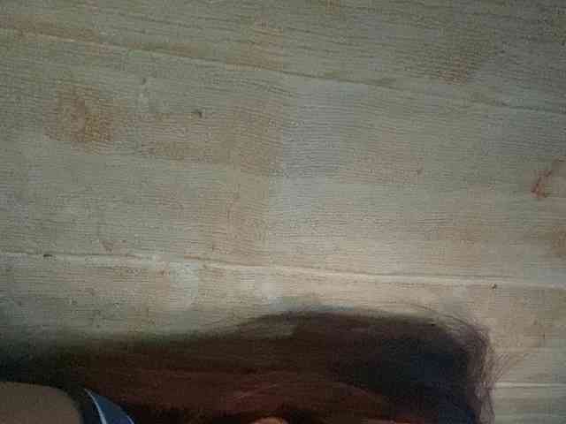 Rainie webcam