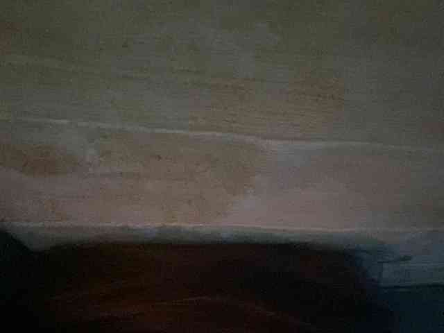 Rainie webcam
