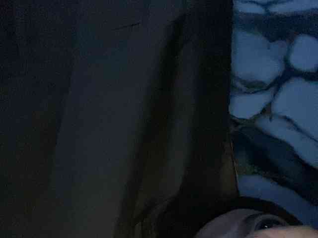 Rainie webcam