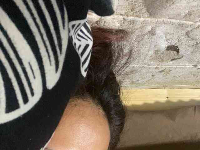 Rainie webcam