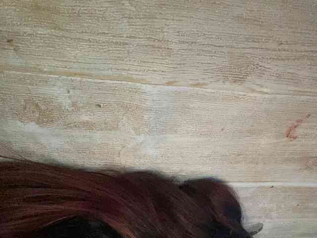 Rainie