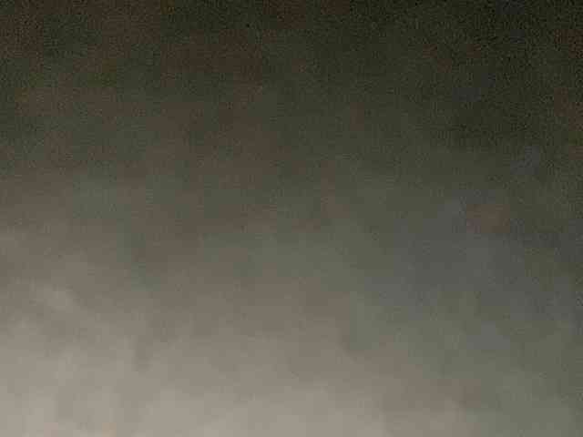 Rainie webcam