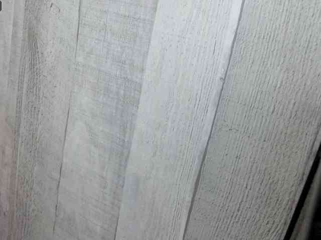 Rainie webcam