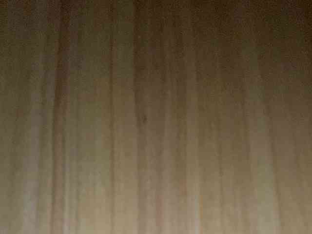 Rainie webcam