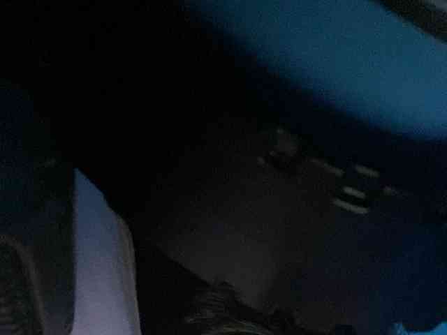 Rainie webcam