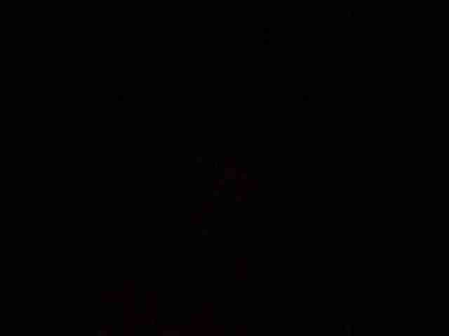 rasberrykat webcam