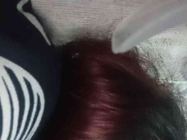 Rainie webcam