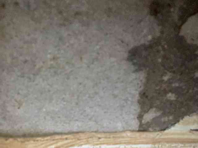 Rainie webcam