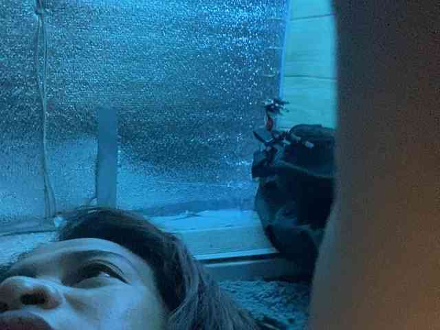 Rainie webcam