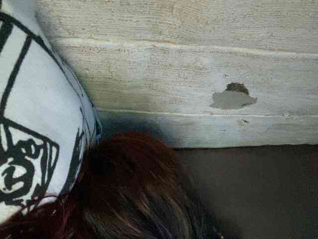 Rainie webcam