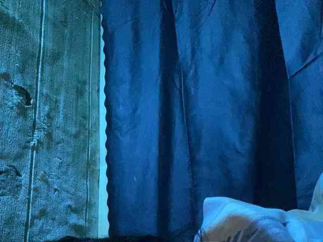 Rainie webcam