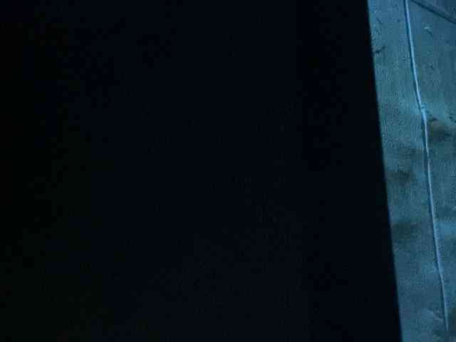Rainie webcam