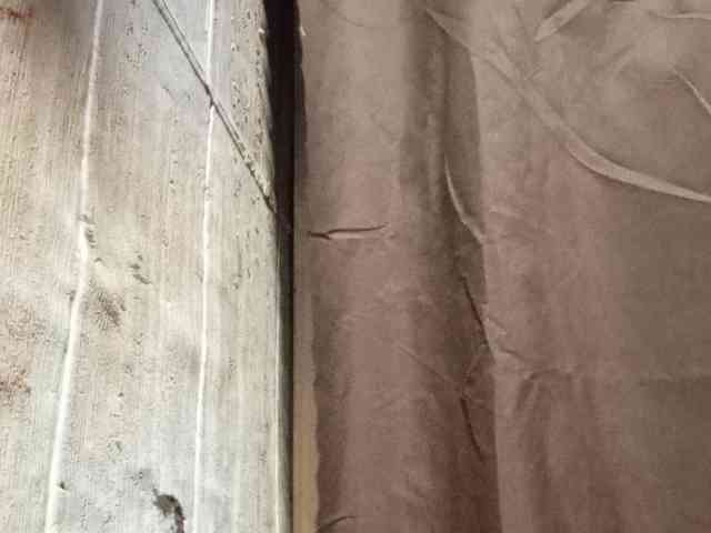 Rainie webcam