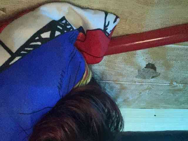 Rainie webcam