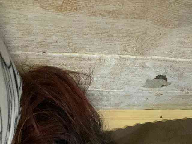 Rainie