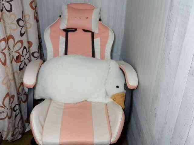 Rainie webcam