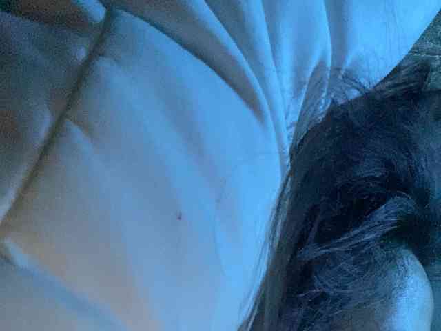 Rainie webcam