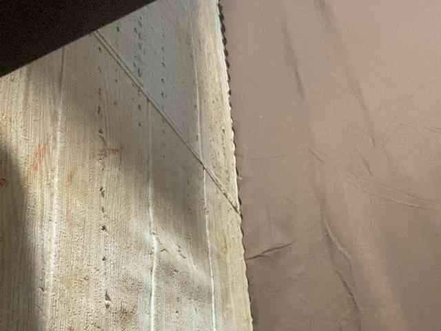 Rainie webcam