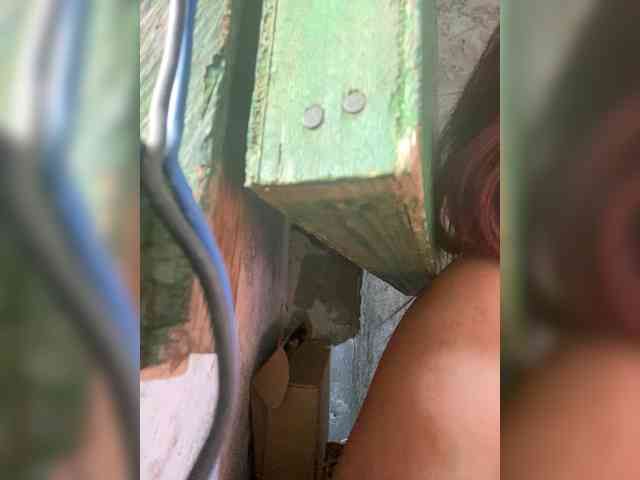 MoonFlowers webcam