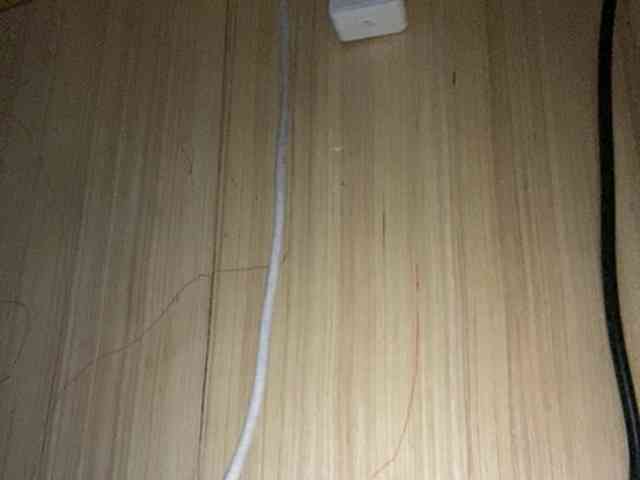 Rainie webcam
