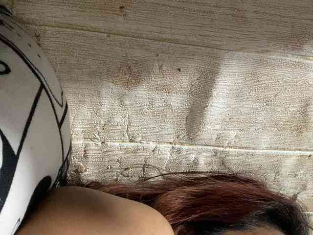 Rainie webcam