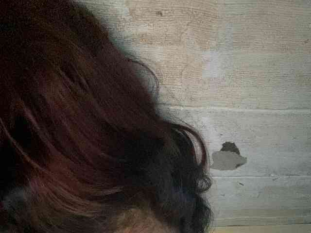 Rainie webcam