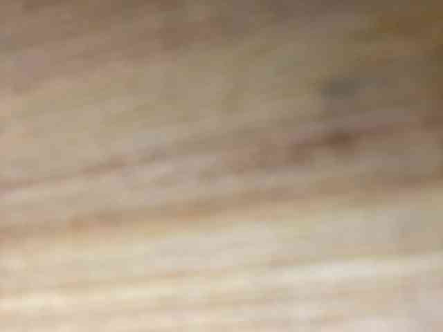 Rainie webcam