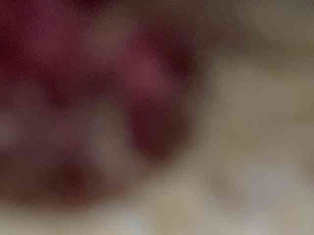 Rainie webcam