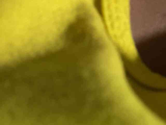 Rainie webcam