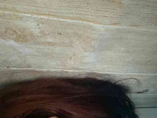 Rainie webcam
