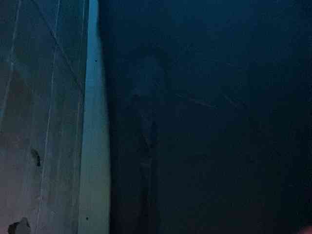 Rainie webcam