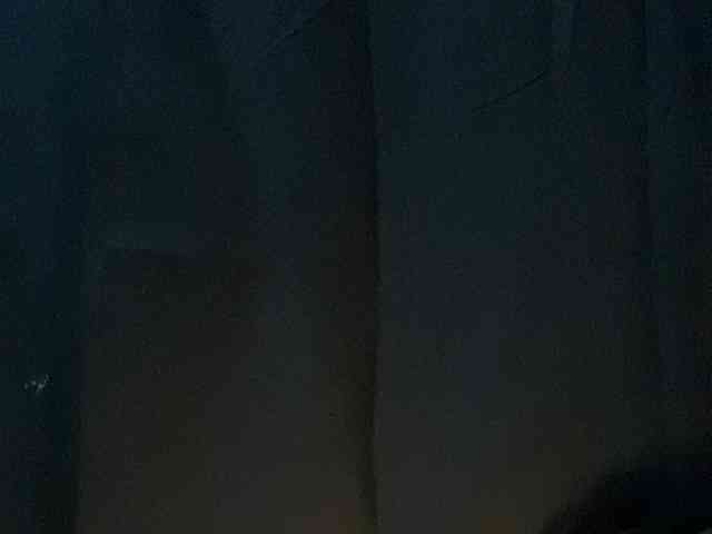 Rainie webcam