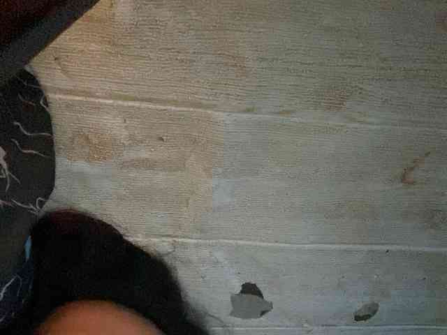 Rainie