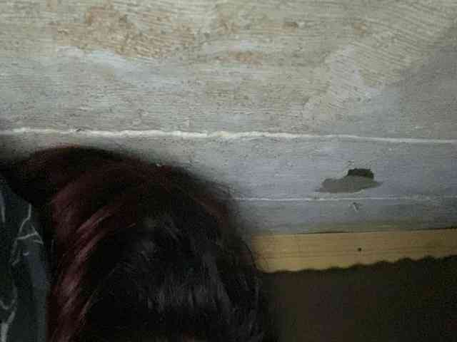 Rainie