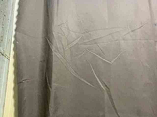 Rainie webcam