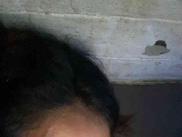 Rainie webcam