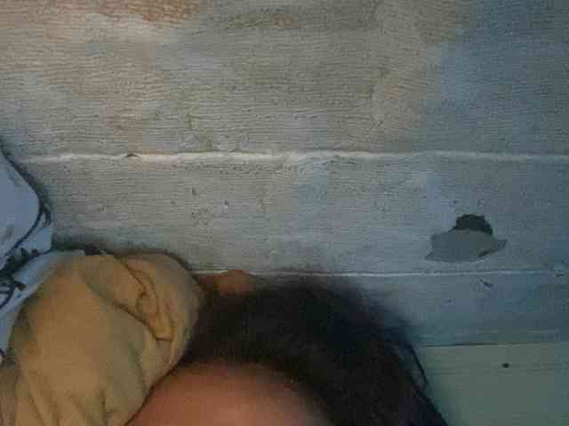 Rainie webcam
