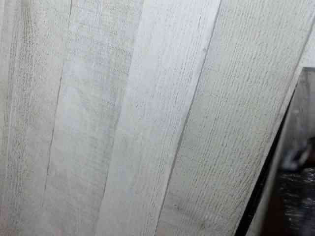 Rainie webcam