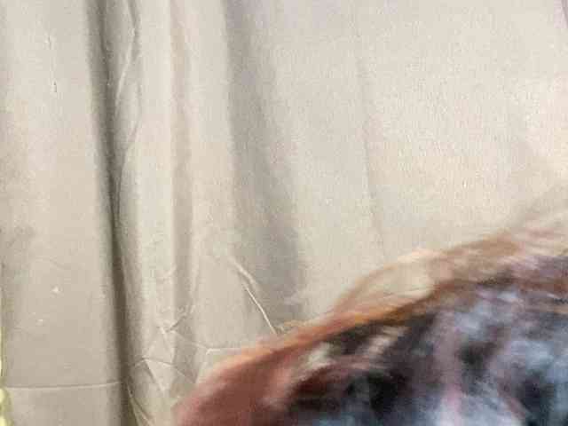 Rainie
