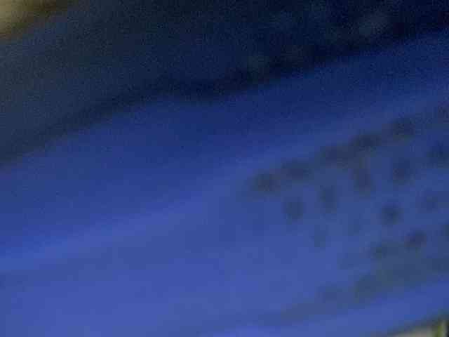 Rainie webcam