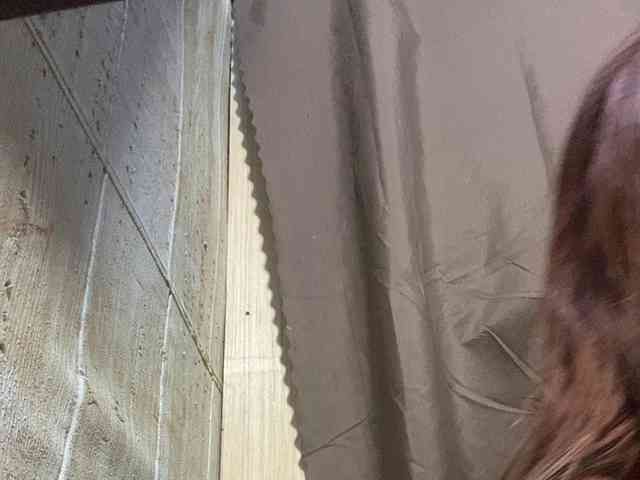 Rainie webcam