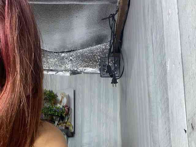 Rainie webcam