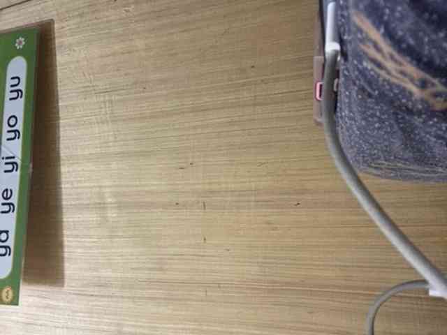 Rainie webcam