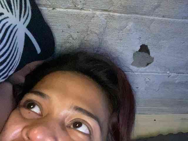 Rainie webcam