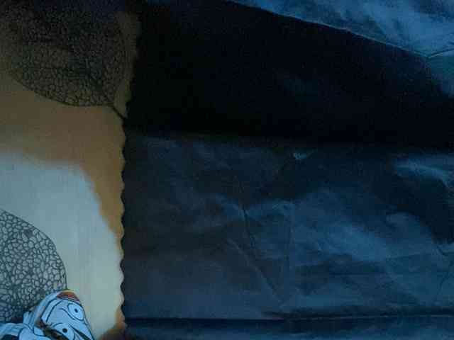 Rainie webcam