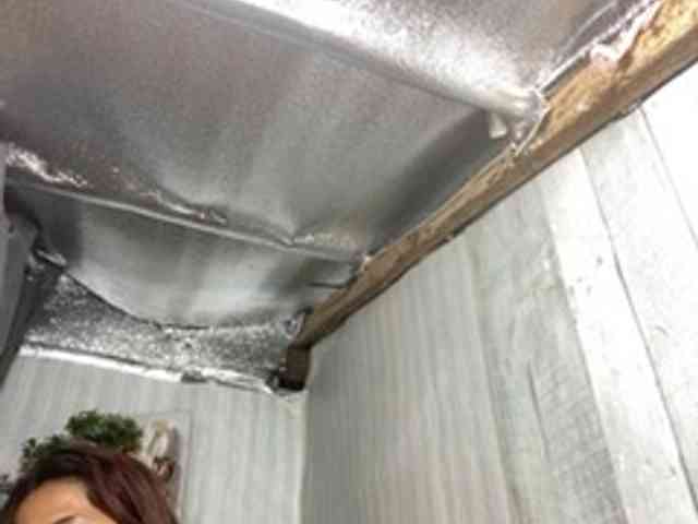 Rainie webcam